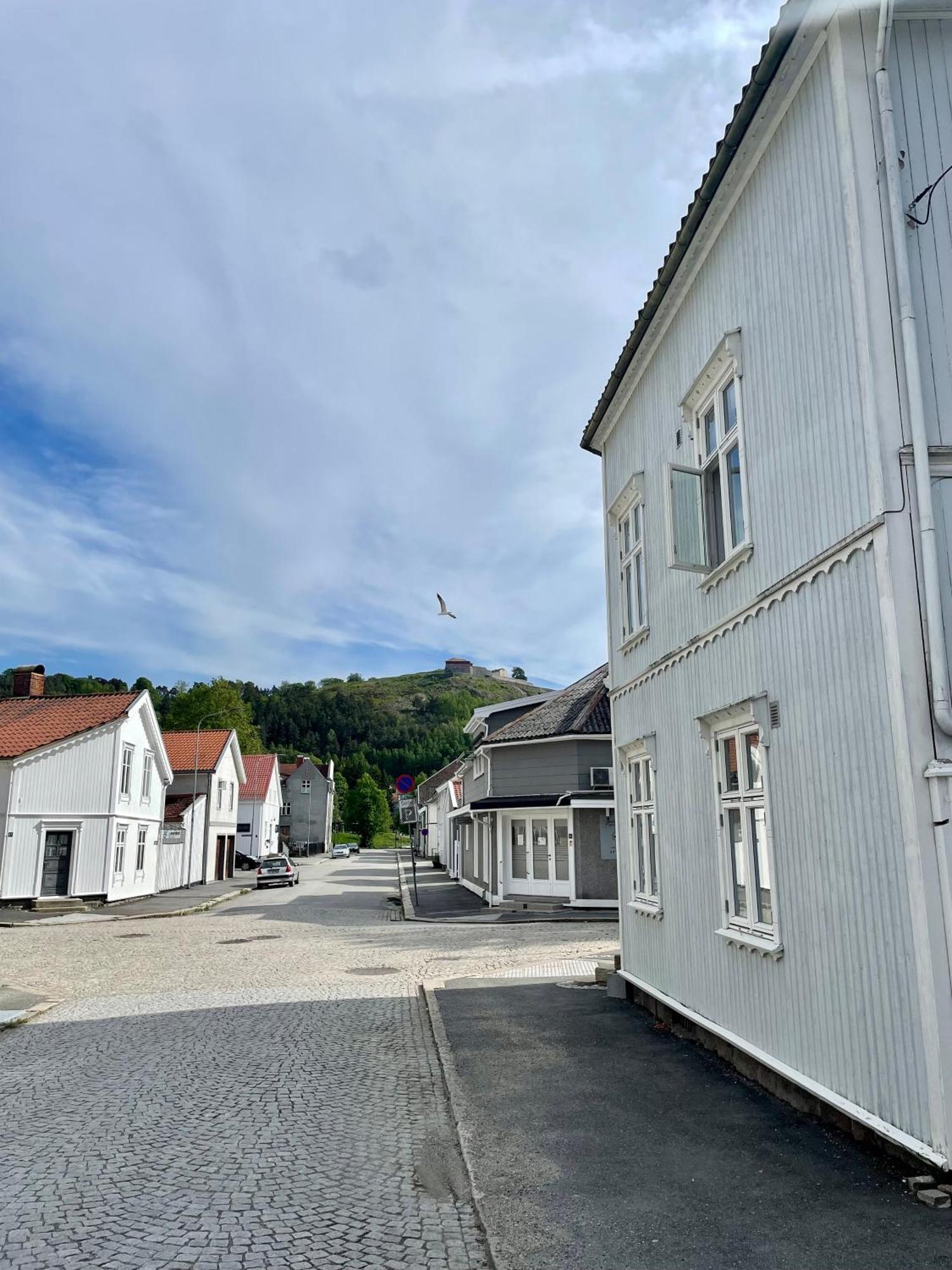 Sentral Og Fargerik Bygardsleilighet Halden Kültér fotó